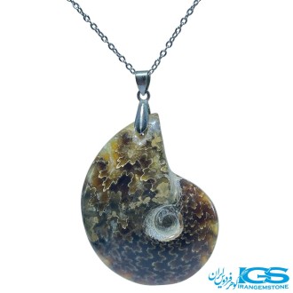 گردنبند فسیل آمونیت | نماد انرژی حیات و تحول بدون زنجیر