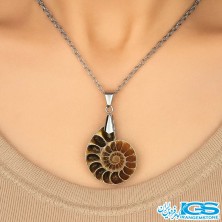 گردنبند فسیل آمونیت | نماد انرژی حیات و تحول بدون زنجیر