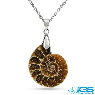 گردنبند فسیل آمونیت | نماد انرژی حیات و تحول بدون زنجیر