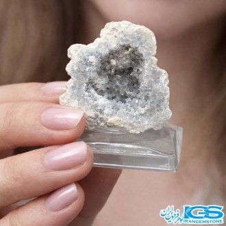 راف سلستین راف دکوری