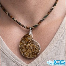 گردنبند آمونیت فسیل دفع انرژی منفی بدون زنجیر