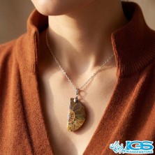 گردنبند فسیل آمونیت | نماد انرژی حیات و تحول با زنجیر استیل