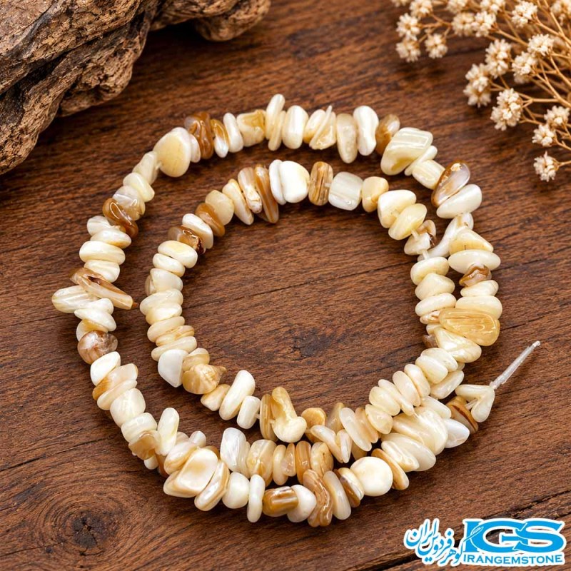 نمای کامل ریسه صدف چیپسی مناسب ساخت دستبند و گردنبند
