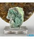 هم رشدی کم یاب سنگ مالاکیت و کریستال کوارتز Malachite and Crystal Quartz