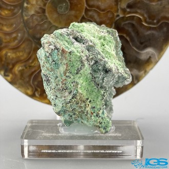 هم رشدی کم یاب سنگ مالاکیت و کریستال کوارتز Malachite and Crystal Quartz