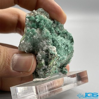 هم رشدی کم یاب سنگ مالاکیت و کریستال کوارتز Malachite and Crystal Quartz