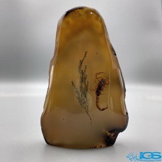 تندیس نماد ماه آبان گوهر شب چراغ سنگ کهربا اصل Amber