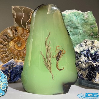 تندیس نماد ماه آبان گوهر شب چراغ سنگ کهربا اصل Amber