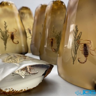 تندیس نماد ماه آبان گوهر شب چراغ سنگ کهربا اصل Amber