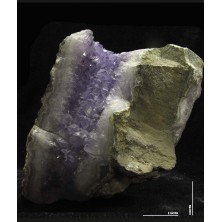 راف کلکسیونی آماتیست