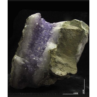 راف کلکسیونی آماتیست