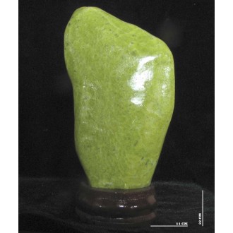 جاسبر کلکسیونی