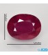 نگین یاقوت سرخ جواهر تراش اوال برمه oval ruby