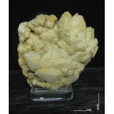 کوارتز کلکسیونی کد 9