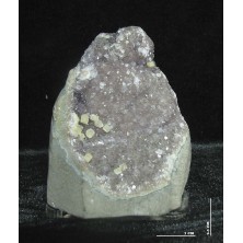 آماتیست کلکسیونی