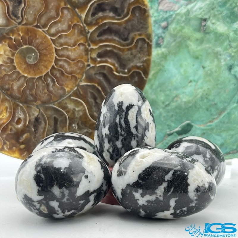 سنگ زبرا جاسپر گورخر جاسپر Zebra Jasper