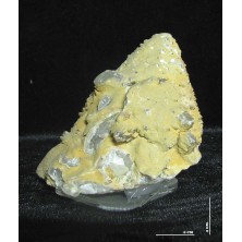 کوارتز کلکسیونی کد 10