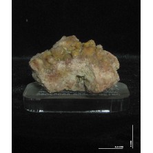 کوارتز سرخ کلکسیونی کد 3