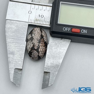 سنگ فسیل پوست مار نگین جواهری Snake fossil