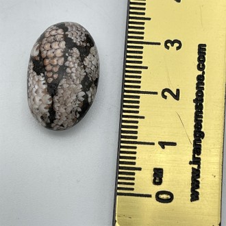 سنگ فسیل پوست مار نگین جواهری Snake fossil