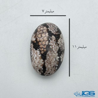 سنگ فسیل پوست مار نگین جواهری Snake fossil
