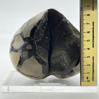 سنگ سپتارین تراش قلب septarian