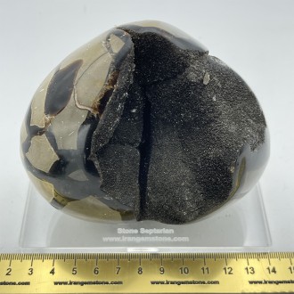 سنگ سپتارین تراش قلب septarian