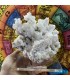سنگ آراگونیت سفید کلیکسیونی طرح مرجانی aragonite