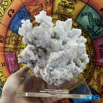 سنگ آراگونیت سفید کلیکسیونی طرح مرجانی aragonite