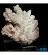 سنگ آراگونیت سفید کلیکسیونی طرح مرجانی aragonite