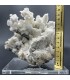 سنگ آراگونیت سفید کلیکسیونی طرح مرجانی aragonite