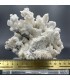 سنگ آراگونیت سفید کلیکسیونی طرح مرجانی aragonite