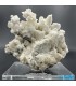 سنگ آراگونیت سفید کلیکسیونی طرح مرجانی aragonite