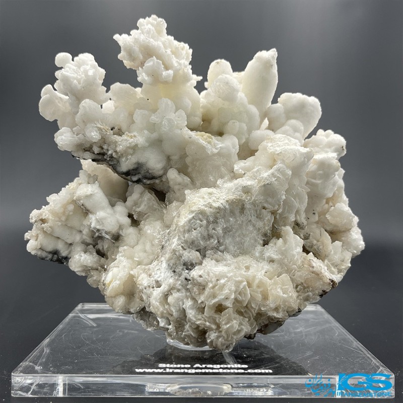 سنگ آراگونیت سفید کلیکسیونی طرح مرجانی aragonite