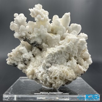 سنگ آراگونیت سفید کلیکسیونی طرح مرجانی aragonite