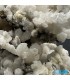 سنگ آراگونیت سفید کلیکسیونی طرح مرجانی aragonite