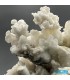 سنگ آراگونیت سفید کلیکسیونی طرح مرجانی aragonite