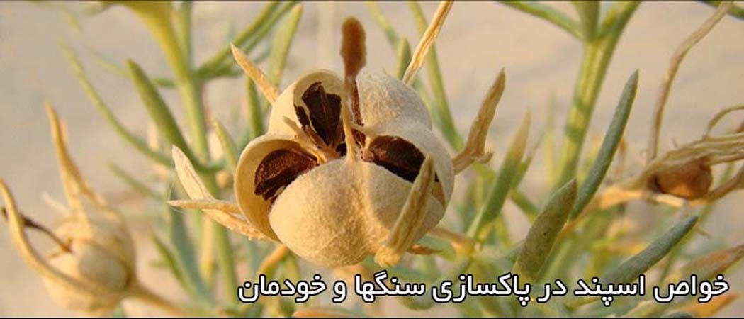 خواص اسپند در پاکسازی سنگها و خودمان