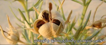 خواص اسپند در پاکسازی سنگها و خودمان