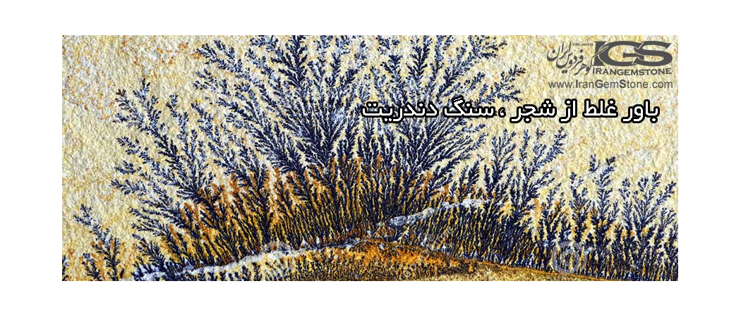 باور غلط از شجر سنگ دندریت