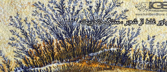 باور غلط از شجر سنگ دندریت