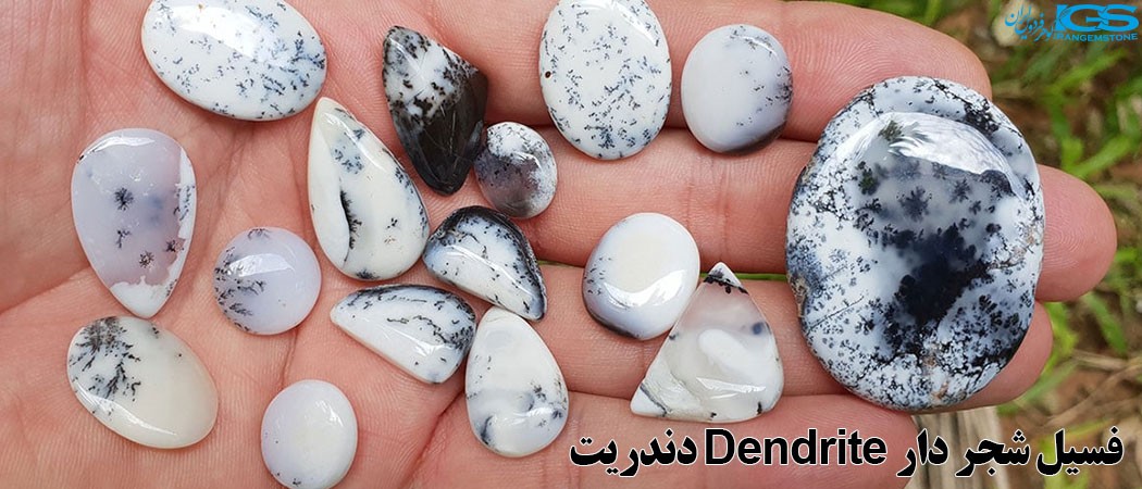 خواص سنگ دندریت Dendrite فسیل شجردار