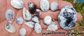 خواص سنگ دندریت Dendrite فسیل شجردار