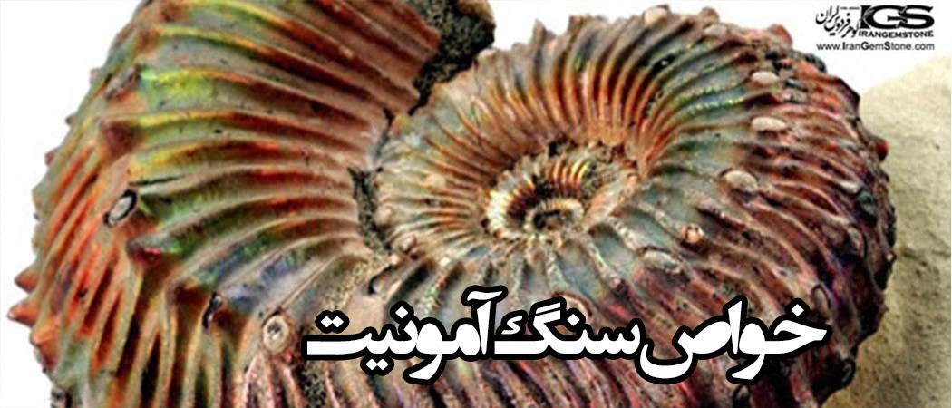 خواص سنگ آمونیت ammonite