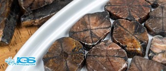 سنگ کیاستولیت Chiastolite