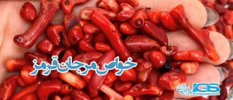 خواص مرجان Сoral